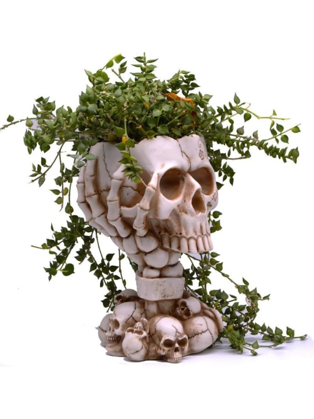 Gothic Skull Planter - Unique Flower Pot for Succulents, Halloween Decor & Gifts